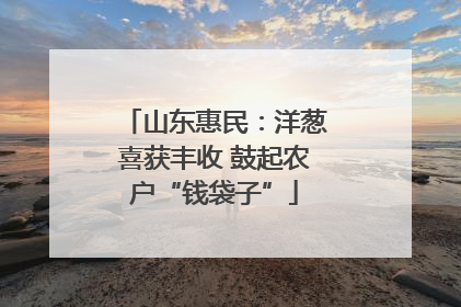 山东惠民：洋葱喜获丰收 鼓起农户“钱袋子”