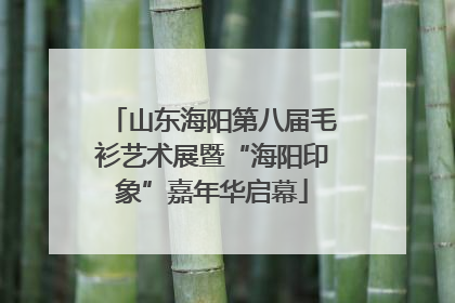 山东海阳第八届毛衫艺术展暨“海阳印象”嘉年华启幕