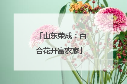 山东荣成：百合花开富农家