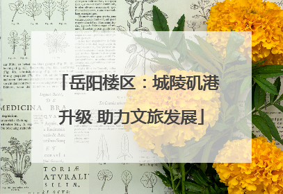 岳阳楼区：城陵矶港升级 助力文旅发展