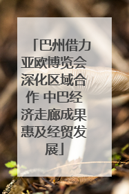 巴州借力亚欧博览会深化区域合作 中巴经济走廊成果惠及经贸发展