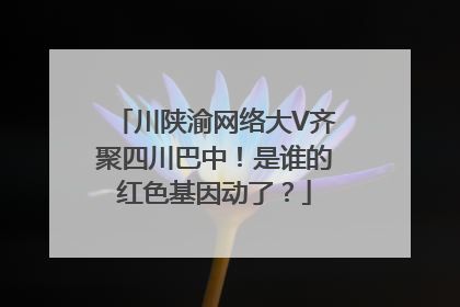 川陕渝网络大V齐聚四川巴中！是谁的红色基因动了？