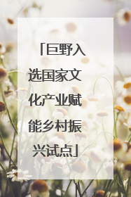 巨野入选国家文化产业赋能乡村振兴试点