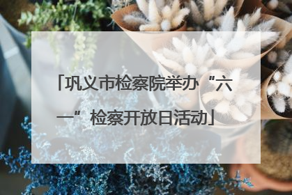 巩义市检察院举办“六一”检察开放日活动