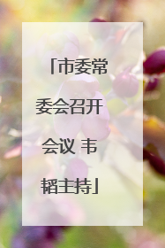 市委常委会召开会议 韦韬主持