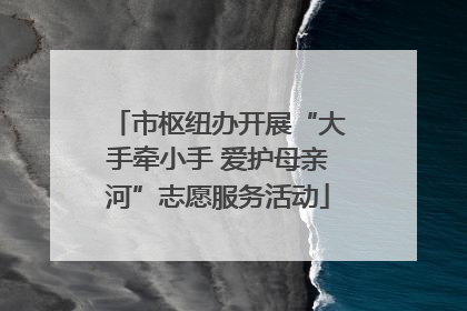 市枢纽办开展“大手牵小手 爱护母亲河”志愿服务活动