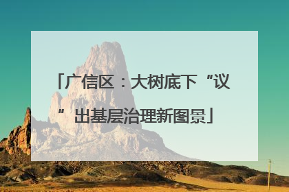 广信区：大树底下“议”出基层治理新图景