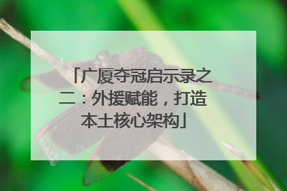 广厦夺冠启示录之二：外援赋能，打造本土核心架构