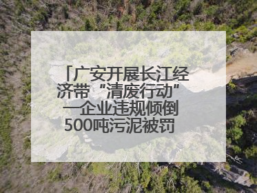 广安开展长江经济带“清废行动” 一企业违规倾倒500吨污泥被罚8万元