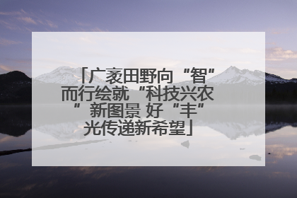 广袤田野向“智”而行绘就“科技兴农”新图景 好“丰”光传递新希望