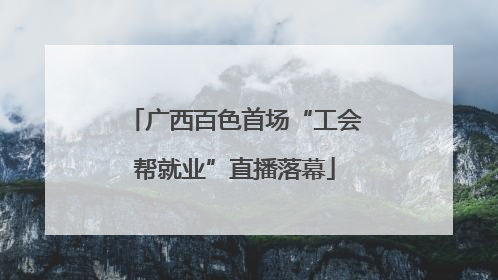广西百色首场“工会帮就业”直播落幕