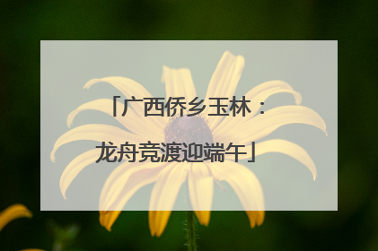 广西侨乡玉林：龙舟竞渡迎端午
