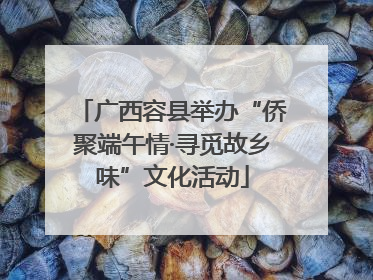 广西容县举办“侨聚端午情·寻觅故乡味”文化活动