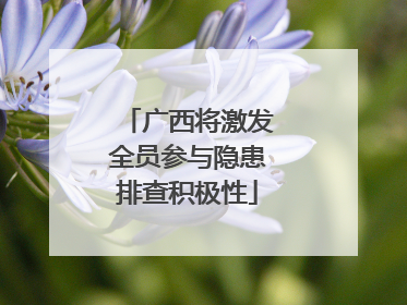 广西将激发全员参与隐患排查积极性