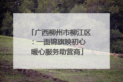 广西柳州市柳江区：一面锦旗映初心 暖心服务助营商