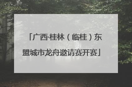 广西·桂林（临桂）东盟城市龙舟邀请赛开赛