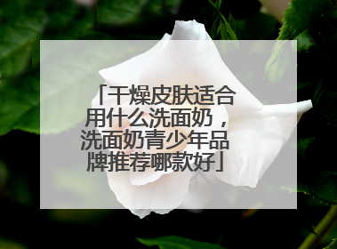 干燥皮肤适合用什么洗面奶，洗面奶青少年品牌推荐哪款好