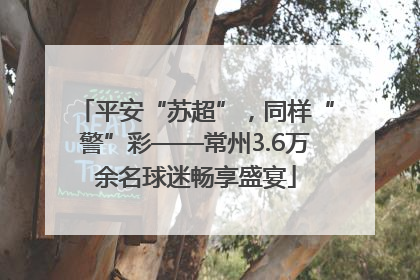 平安“苏超”，同样“警”彩——常州3.6万余名球迷畅享盛宴