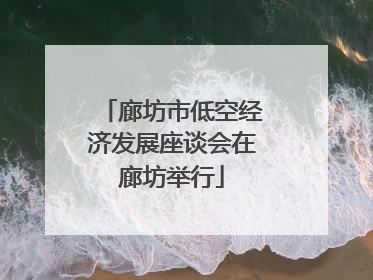 廊坊市低空经济发展座谈会在廊坊举行