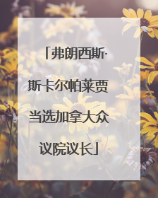 弗朗西斯·斯卡尔帕莱贾当选加拿大众议院议长