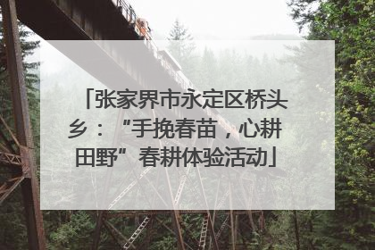 张家界市永定区桥头乡：“手挽春苗，心耕田野”春耕体验活动