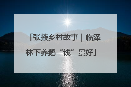 张掖乡村故事｜临泽林下养鹅“钱”景好