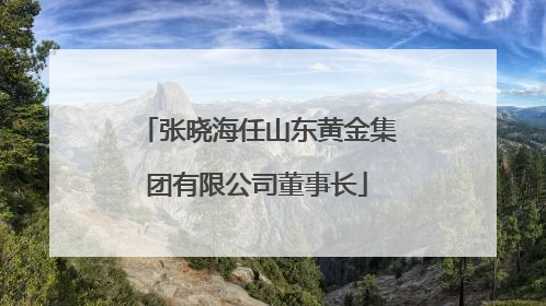张晓海任山东黄金集团有限公司董事长