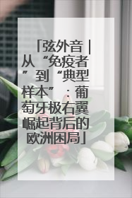 弦外音｜从“免疫者”到“典型样本”：葡萄牙极右翼崛起背后的欧洲困局