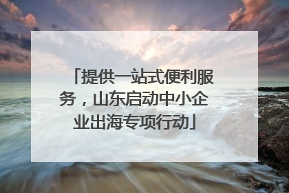 提供一站式便利服务，山东启动中小企业出海专项行动
