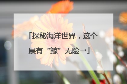 探秘海洋世界，这个展有“鲸”无险→