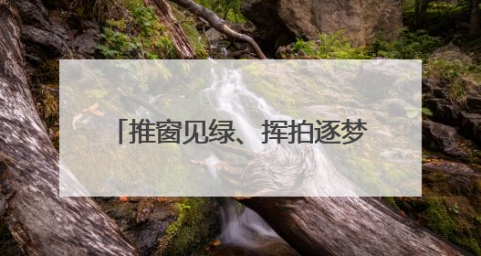 推窗见绿、挥拍逐梦，东营港“小城大爱”奏响文明新乐章