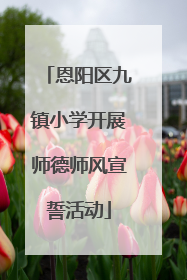 恩阳区九镇小学开展师德师风宣誓活动