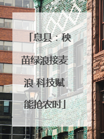 息县：秧苗绿浪接麦浪 科技赋能抢农时