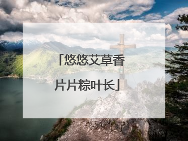 悠悠艾草香 片片粽叶长
