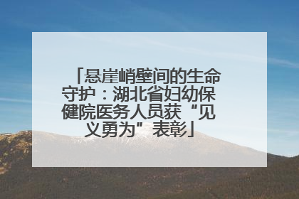 悬崖峭壁间的生命守护：湖北省妇幼保健院医务人员获“见义勇为”表彰