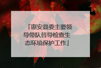 惠安县委主要领导带队督导检查生态环境保护工作