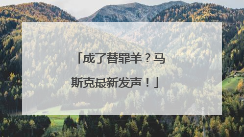 成了替罪羊？马斯克最新发声！