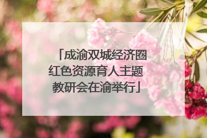 成渝双城经济圈红色资源育人主题教研会在渝举行
