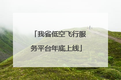 我省低空飞行服务平台年底上线