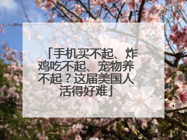 手机买不起、炸鸡吃不起、宠物养不起？这届美国人活得好难