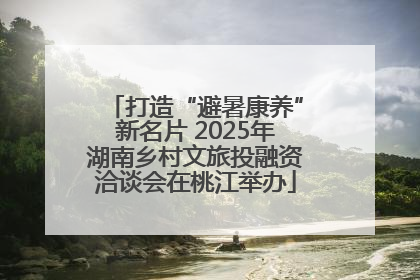 打造“避暑康养”新名片 2025年湖南乡村文旅投融资洽谈会在桃江举办