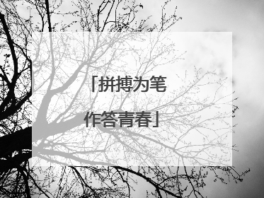 拼搏为笔 作答青春
