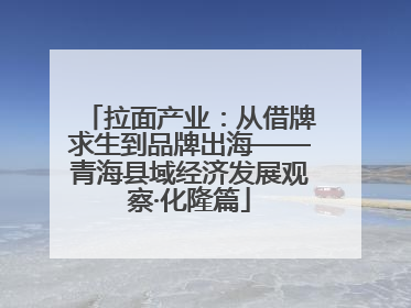 拉面产业：从借牌求生到品牌出海——青海县域经济发展观察·化隆篇
