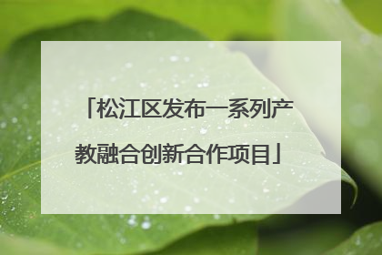 松江区发布一系列产教融合创新合作项目