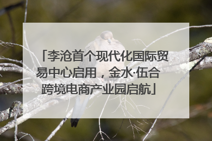李沧首个现代化国际贸易中心启用，金水·伍合跨境电商产业园启航