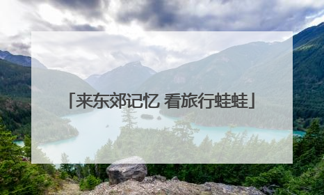 来东郊记忆 看旅行蛙蛙