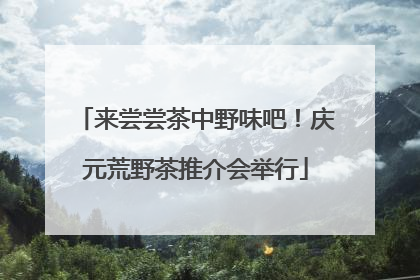 来尝尝茶中野味吧！庆元荒野茶推介会举行