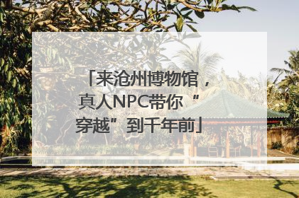 来沧州博物馆，真人NPC带你“穿越”到千年前