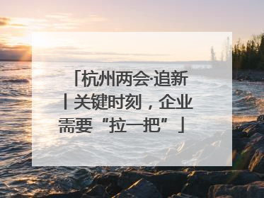 杭州两会·追新丨关键时刻，企业需要“拉一把”