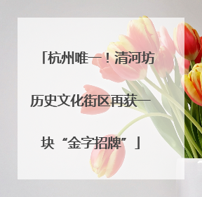杭州唯一！清河坊历史文化街区再获一块“金字招牌”
